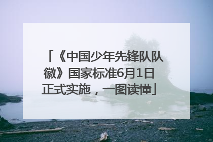 《中国少年先锋队队徽》国家标准6月1日正式实施，一图读懂