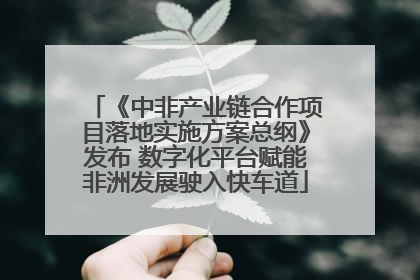《中非产业链合作项目落地实施方案总纲》发布 数字化平台赋能非洲发展驶入快车道