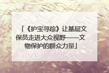 《护宝寻踪》让基层文保员走进大众视野——文物保护的群众力量