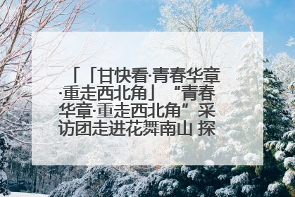 「甘快看·青春华章·重走西北角」“青春华章·重走西北角”采访团走进花舞南山 探寻天水乡村振兴之路
