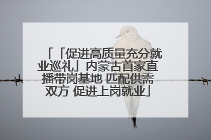 「促进高质量充分就业巡礼」内蒙古首家直播带岗基地 匹配供需双方 促进上岗就业