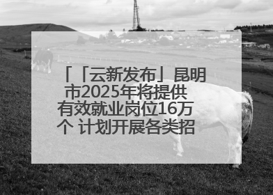 「云新发布」昆明市2025年将提供有效就业岗位16万个 计划开展各类招聘会200余场次