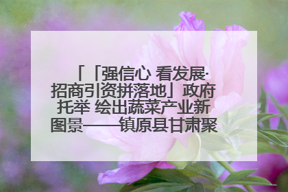 「强信心 看发展·招商引资拼落地」政府托举 绘出蔬菜产业新图景——镇原县甘肃聚广利现代设施蔬菜种植基地见闻