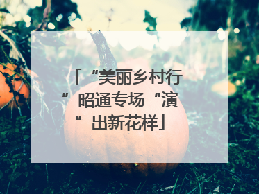 “美丽乡村行”昭通专场“演”出新花样