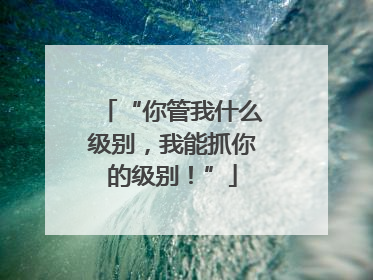 “你管我什么级别，我能抓你的级别！”