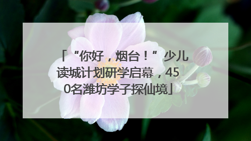 “你好，烟台！”少儿读城计划研学启幕，450名潍坊学子探仙境