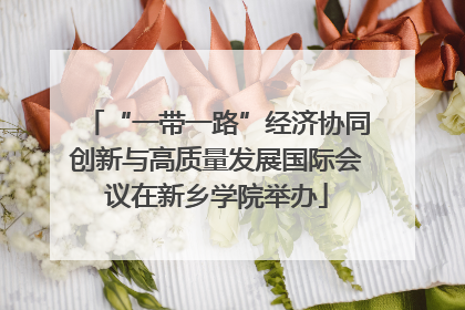 “一带一路”经济协同创新与高质量发展国际会议在新乡学院举办