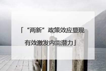 “两新”政策效应显现 有效激发内需潜力