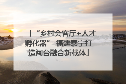 “乡村会客厅+人才孵化器” 福建泰宁打造闽台融合新载体