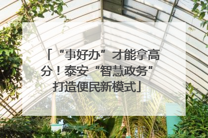 “事好办”才能拿高分！泰安“智慧政务”打造便民新模式