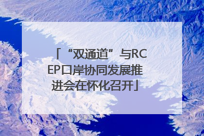 “双通道”与RCEP口岸协同发展推进会在怀化召开