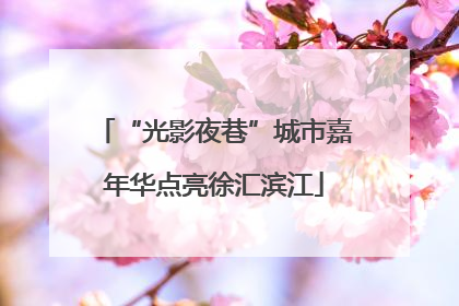“光影夜巷”城市嘉年华点亮徐汇滨江
