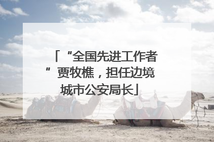 “全国先进工作者”贾牧樵，担任边境城市公安局长