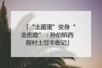 “土蛋蛋”变身“金疙瘩”：孙伯镇西程村土豆丰收记