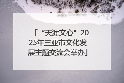 “天涯文心”2025年三亚市文化发展主题交流会举办