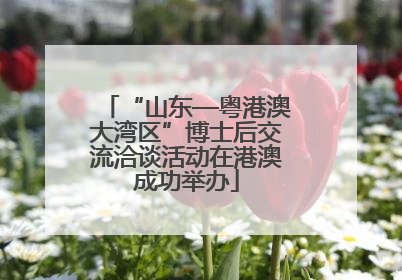 “山东—粤港澳大湾区”博士后交流洽谈活动在港澳成功举办