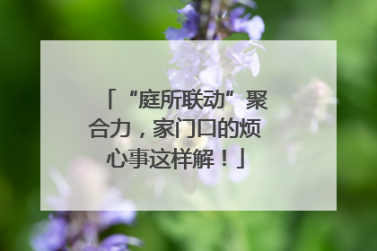 “庭所联动”聚合力，家门口的烦心事这样解！