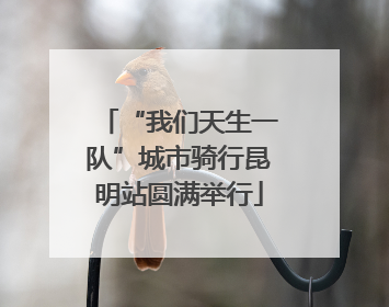 “我们天生一队”城市骑行昆明站圆满举行