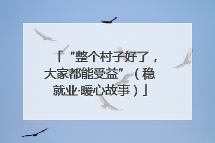 “整个村子好了，大家都能受益”（稳就业·暖心故事）