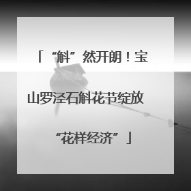 “斛”然开朗！宝山罗泾石斛花节绽放“花样经济”