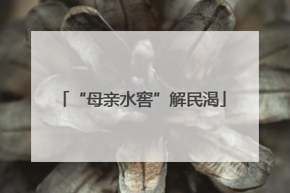 “母亲水窖”解民渴