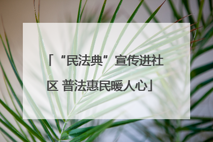 “民法典”宣传进社区 普法惠民暖人心