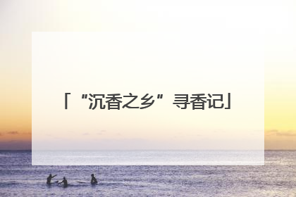 “沉香之乡”寻香记