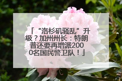 “洛杉矶骚乱”升级？加州州长：特朗普还要再增派2000名国民警卫队！