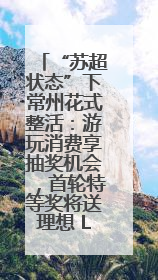 “苏超状态”下常州花式整活：游玩消费享抽奖机会，首轮特等奖将送理想 L6 Pro