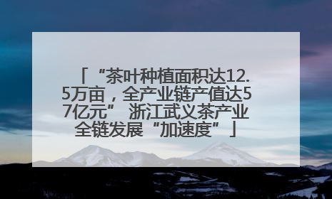 “茶叶种植面积达12.5万亩，全产业链产值达57亿元” 浙江武义茶产业全链发展“加速度”