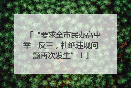 “要求全市民办高中举一反三，杜绝违规问题再次发生”！