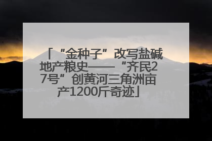 “金种子”改写盐碱地产粮史——“齐民27号”创黄河三角洲亩产1200斤奇迹