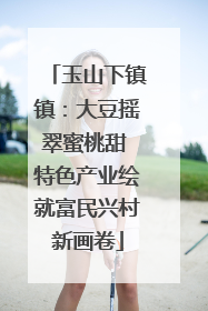 玉山下镇镇：大豆摇翠蜜桃甜 特色产业绘就富民兴村新画卷