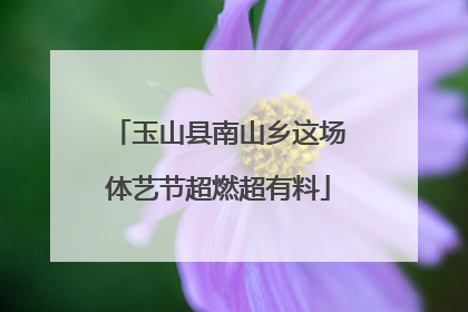 玉山县南山乡这场体艺节超燃超有料