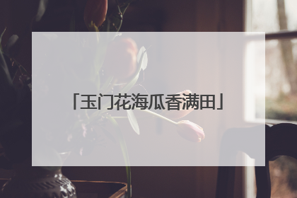 玉门花海瓜香满田