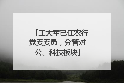 王大军已任农行党委委员，分管对公、科技板块