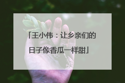 王小伟：让乡亲们的日子像香瓜一样甜