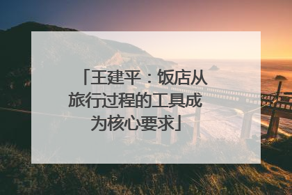 王建平：饭店从旅行过程的工具成为核心要求