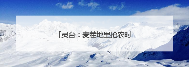 灵台：麦茬地里抢农时 奏响复种“交响曲”