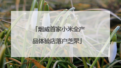 烟威首家小米全产品体验店落户芝罘