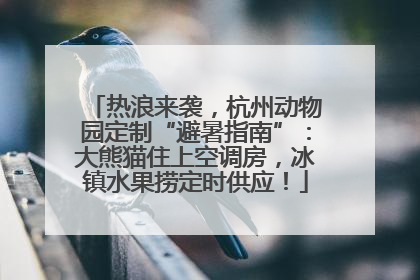 热浪来袭，杭州动物园定制“避暑指南”：大熊猫住上空调房，冰镇水果捞定时供应！