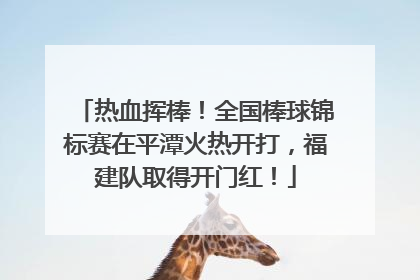 热血挥棒！全国棒球锦标赛在平潭火热开打，福建队取得开门红！