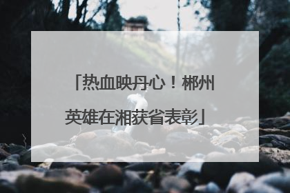 热血映丹心！郴州英雄在湘获省表彰