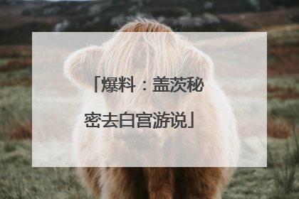 爆料：盖茨秘密去白宫游说