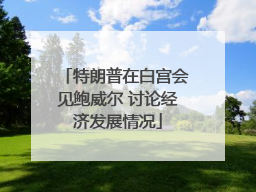 特朗普在白宫会见鲍威尔 讨论经济发展情况
