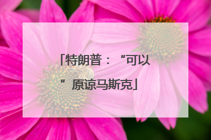 特朗普：“可以”原谅马斯克
