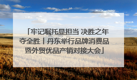 牢记嘱托显担当 决胜之年夺全胜丨丹东举行品牌消费品暨外贸优品产销对接大会