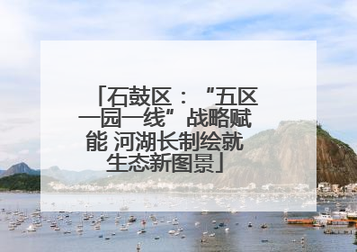 石鼓区：“五区一园一线”战略赋能 河湖长制绘就生态新图景