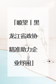 瞭望丨黑龙江省政协精准助力企业纾困