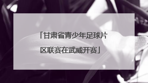 甘肃省青少年足球片区联赛在武威开赛